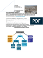 Causas Del Deterioro Ambiental