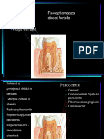 Curs 5 2019 PDF