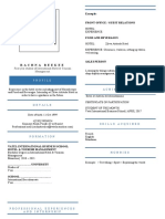 Curriculum Vitae - Template - Eng 