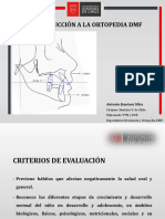 CIN 1 - Introducción A La Ortopedia DMF 2 PDF