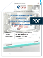 Proceso de Atencion de Enfermeria Neonatologia