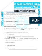 Ficha Alimentos y Nutrientes para Cuarto de Primaria