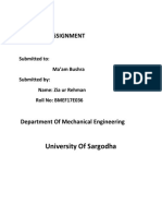 Assignment: University of Sargodha