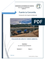 Impacto Ambiental Evaluacion Del Puente La Concordia 2