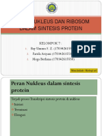 Peran Nukleus Dan Ribosom Dalam Sintesis Protein