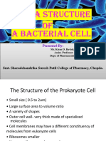 Ultrastructure of Bacteria - KDB