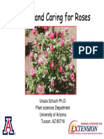 Rosecare PDF