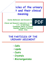 Urine Sediment Particles PDF