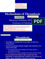 02.16.1 - Thrombosis II FINAL PDF