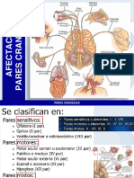 Alteracion Pares Craneales