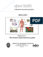 Biology M13 Human Reproductive System