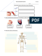 Test Musculoskeletal System