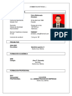 CURRICULUM VITAE - Christian