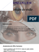 Fisiologia Da Visão