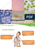 Micr Organism Os