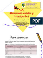 Membrana Celular y Transportes