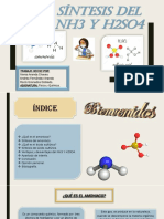 Síntesis Del NH3 y H2so4