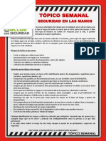 N° 43 - Seguridad en Las Manos PDF