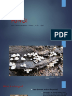 Fungi PDF