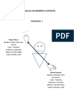 Diagonales de Movimiento