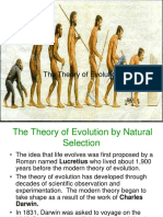 Theory of Evolution