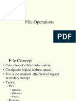 File Sys 1 PDF