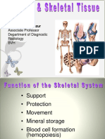 DR Shahid Manzur: Associate Professor Department of Diagnostic Radiology BVH