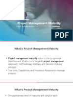 PM3 Model of Project Management Maturity