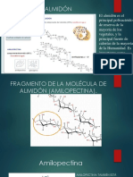 Amilosa y Almidon