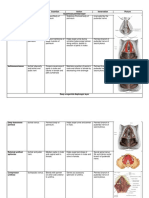 Anatomy and Physiology