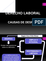 Causas de Despido en El Peru