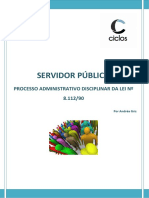 9.1. Processo Administrativo