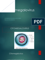 Citomegalovirus PDF