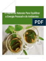 Ebook-10 Maneiras para Equilibrar A Energia Pessoal e de Ambientes