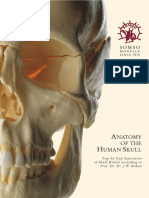 Anatomy of The Human Skull PDF