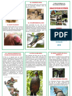 Triptico de Animales en Peligro de Extension