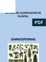 Diversidad Vegetal Clase 2