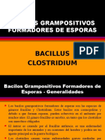 16.bacillus Clostridium 2