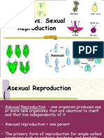 Asexual Vs Sexual Reproduction