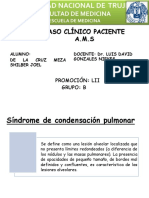 Síndrome de Condensación Pulmonar