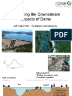 Mitigating The Downstream Impacts of Dams