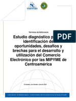 Estudio de Diadnostico e Identificacion de Oportunidades en El Comercio Electronico