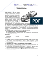 Comparing Primates