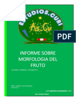 Informe Sobre Morfologia Del Fruto