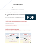 Aerobic Energy System