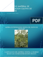 Material de Propagacion Vegetal