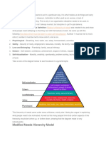 Modified Needs Hierarchy Model