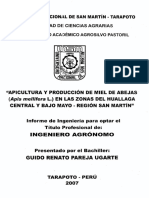 Apicultura Tarapoto PDF