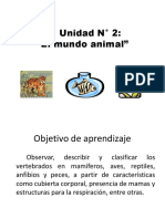 Power Point El Mundo Animal 2