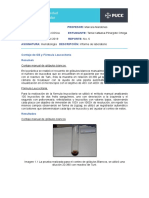 Informe de Laboratorio N. 6